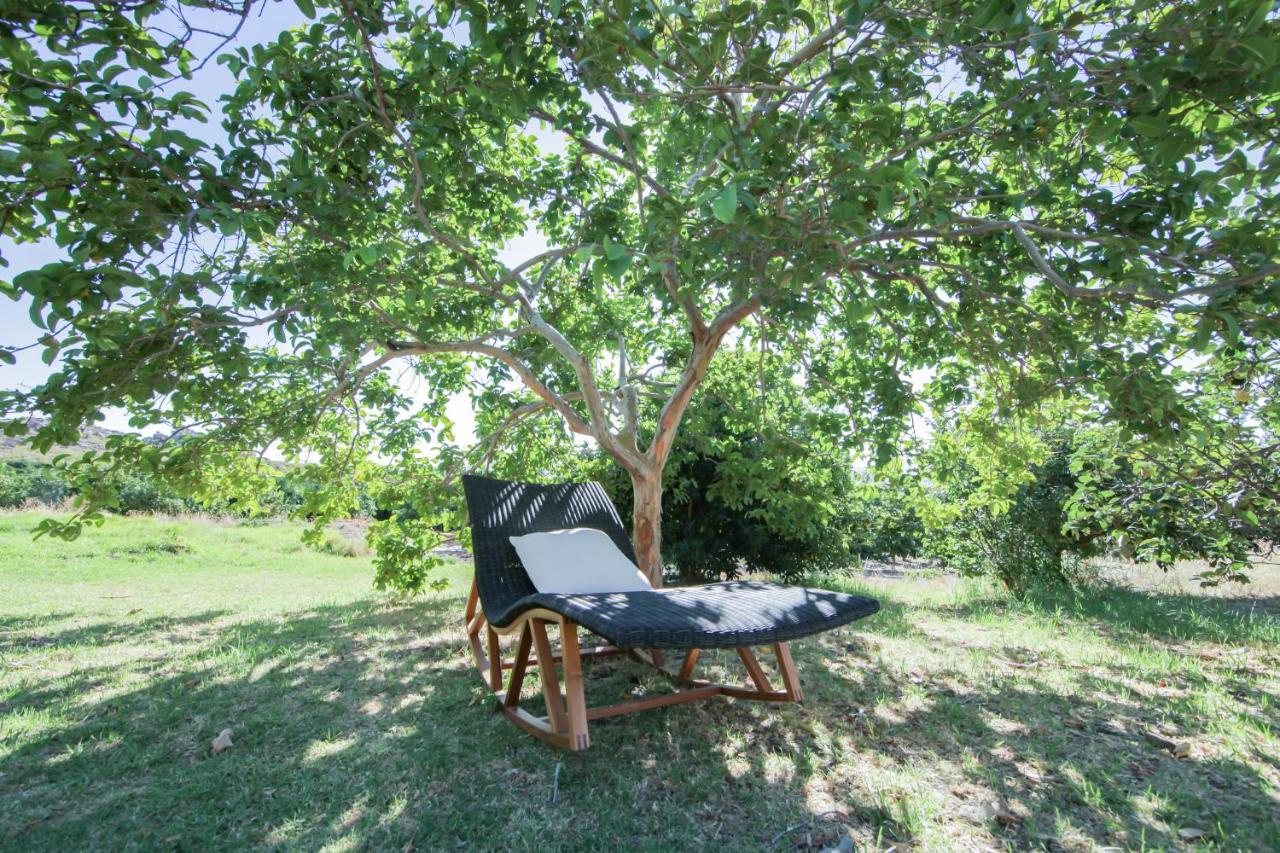 Waterfall Farm Self-Catering Cottages Citrusdal Extérieur photo
